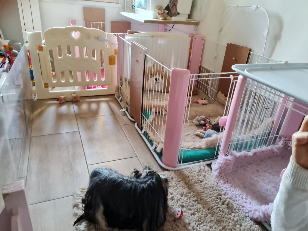 Nurserie